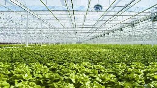 Grow Room Climate Control Systems best